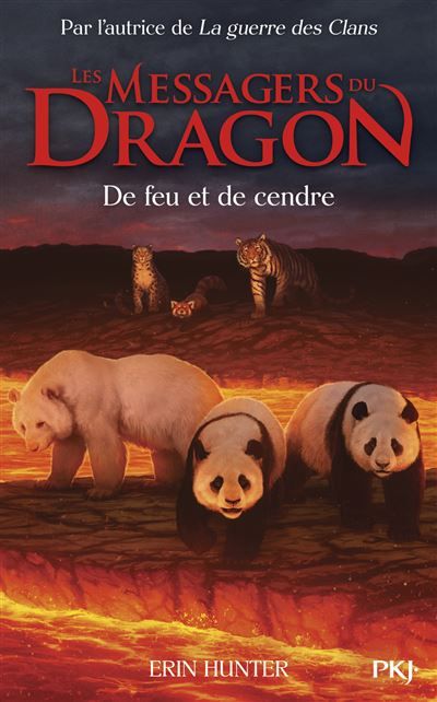 Les messagers du Dragon Cycle I - Tome 6 De feu et de cendre