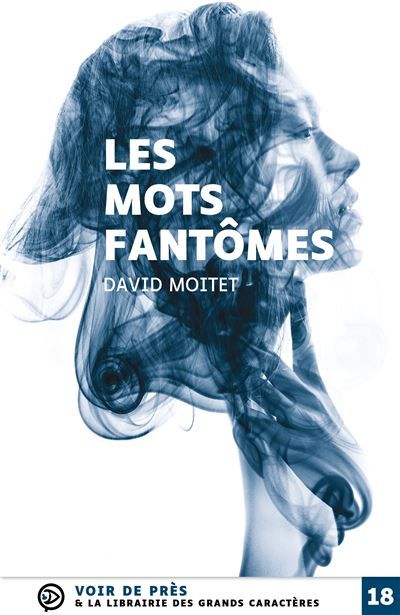Les mots fantomes Édition en gros caractères