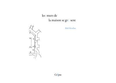 Les murs de la maison se grisent
