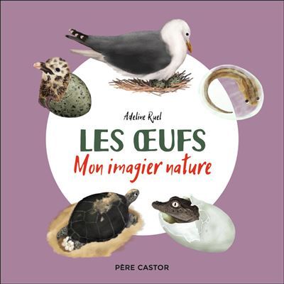 Les oeufs Mon imagier nature