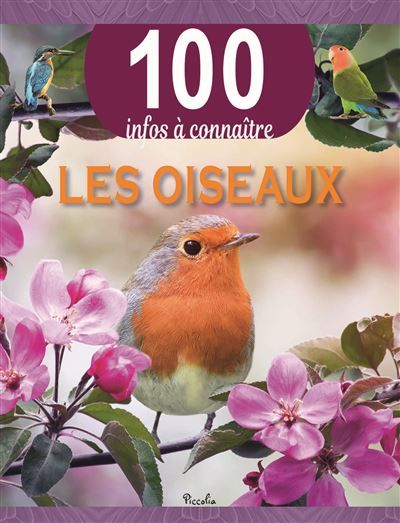 Les oiseaux 100 infos à connaître