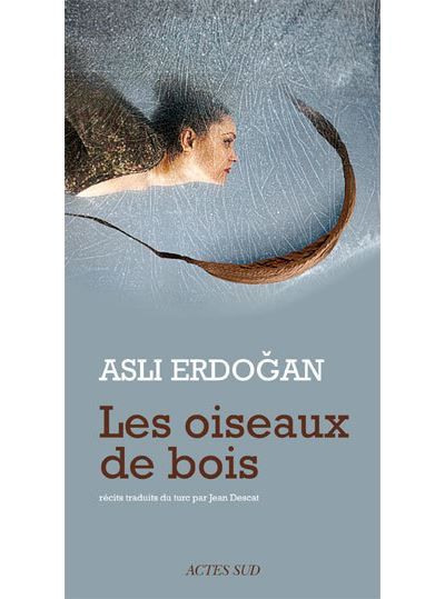 Les oiseaux de bois