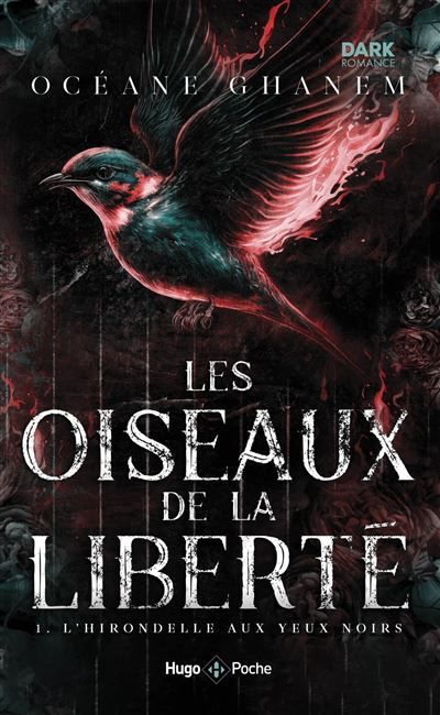Les oiseaux de la liberté tome 1 - poche L'Hirondelle aux yeux noirs