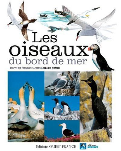 Les Oiseaux du bord de mer