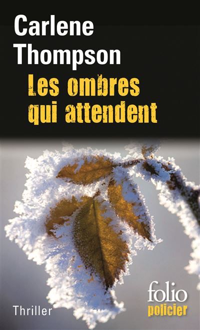 Les ombres qui attendent Thriller