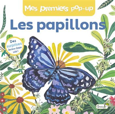 Les papillons - Celia Moncoq