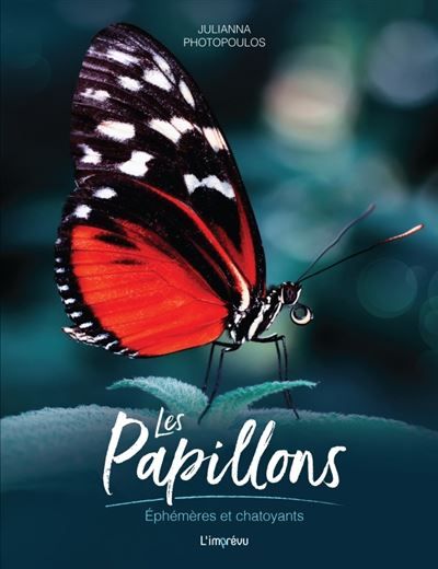 Les Papillons Ephémères et chatoyants