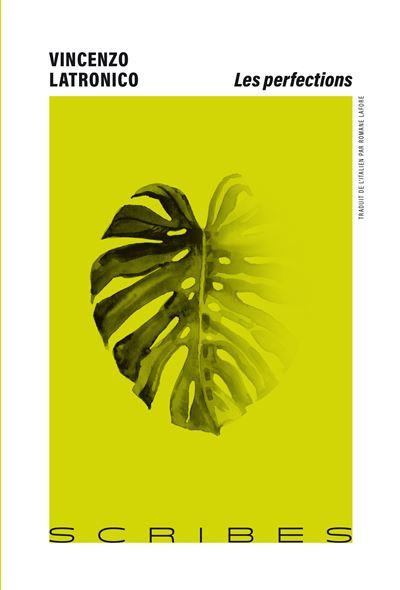 Couverture de Les perfections par Vincenzo Latronico