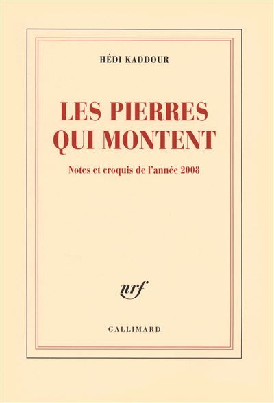 Les pierres qui montent Notes et croquis de l'année 2008
