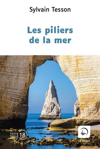 Les piliers de la mer Edition en gros caractères