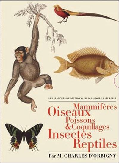 Les planches du Dictionnaire d'Histoire Naturelle - Coffret 5 vol. coffretcoffret