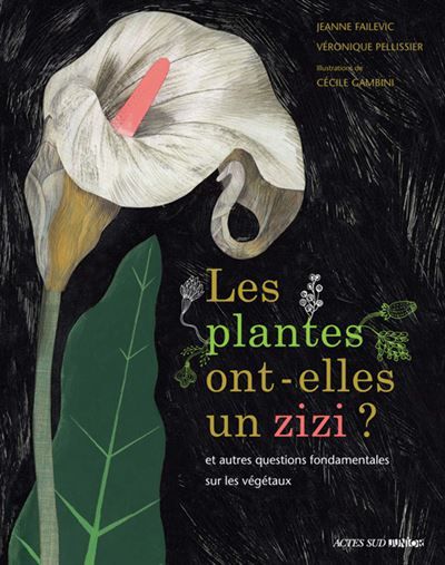Les plantes ont-elles un zizi ? ... et autres questions fondamentales sur les végétaux