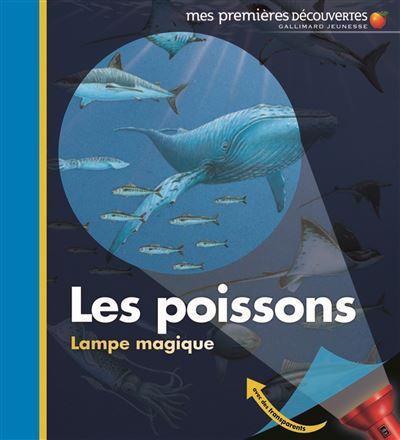Les poissons lampe magique