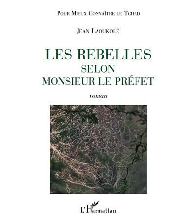 Les rebelles selon Monsieur le Préfet