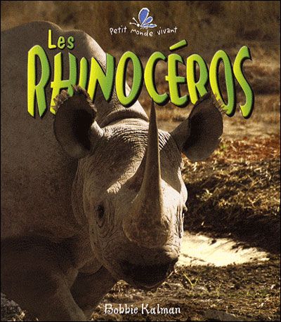 Les rhinocéros