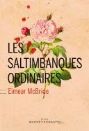 Les Saltimbanques ordinaires