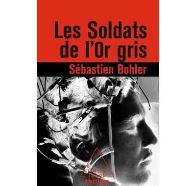 Les Soldats de l'or gris