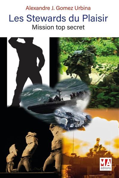 Les stewards du plaisir Mission top secret