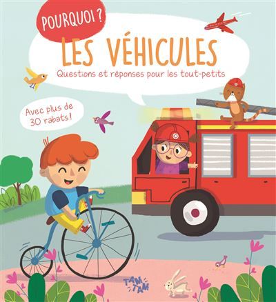 Les véhicules - Pourquoi ?