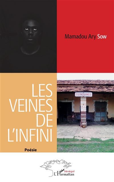Les veines de l'infini Poésie