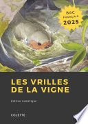 Les vrilles de la vigne