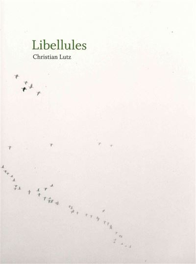 Libellules