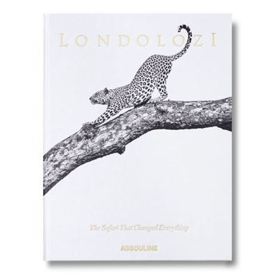 Londolozi The Safari that changed everything