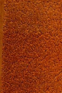 Louis XIV et Marie Mancini d'après de nouveaux documents