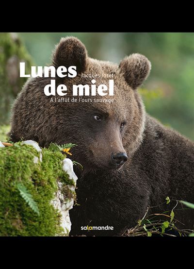 Lune de miel A l'affût de l'ours sauvage