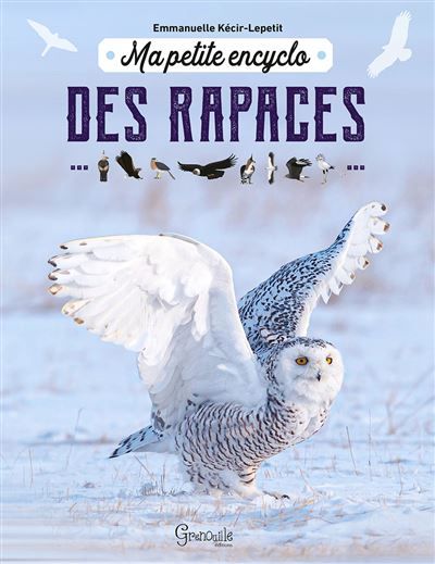 Ma petite encyclo des rapaces