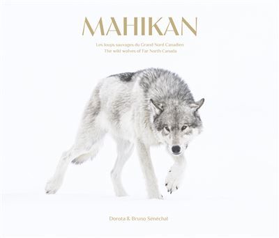 Mahikan Les Loups Sauvages du Grand Nord Canadien