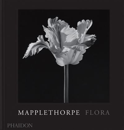 Mapplethorpe flora The complete flowers
