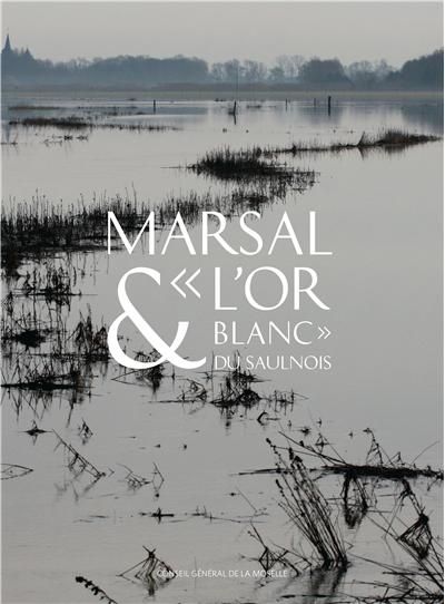 Marsal et l'"or blanc" du Saulnois
