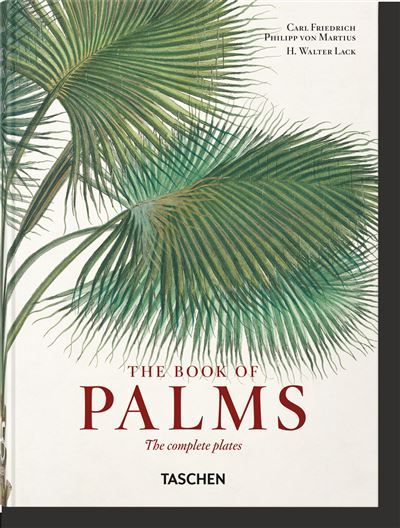 Martius The Book of Palms. 45th Ed.