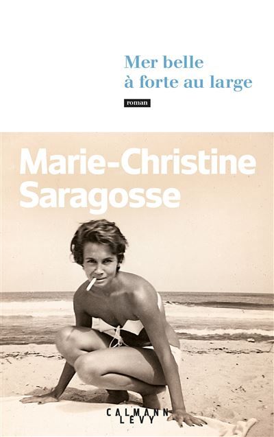 Mer belle à forte au large