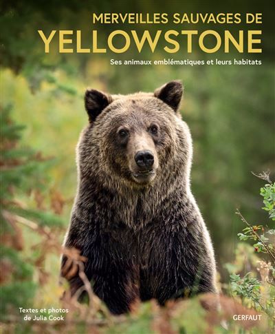 Merveilles sauvages de Yellowstone Ses animaux emblématiques et leurs habitats