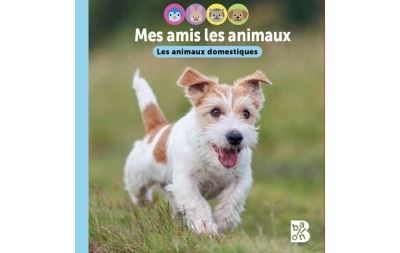 Mes amis les animaux - Les animaux domestiques