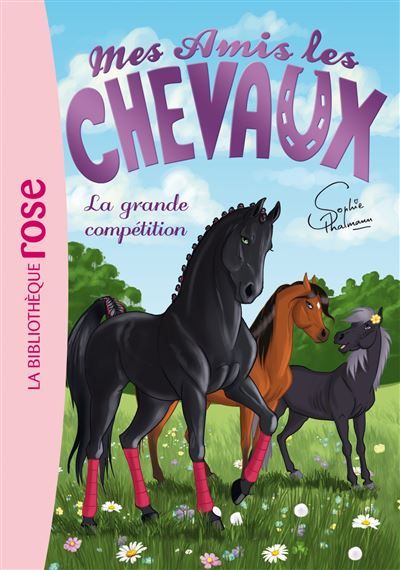 Mes amis les chevaux 02 - La grande compétition