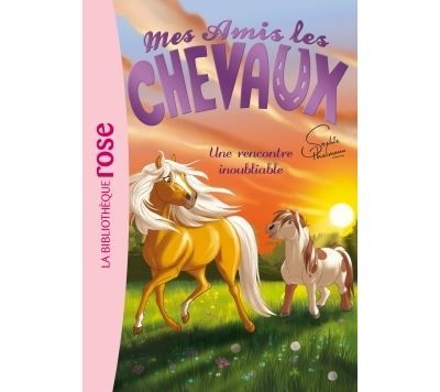 Mes amis les chevaux 06 - Une rencontre inoubliable