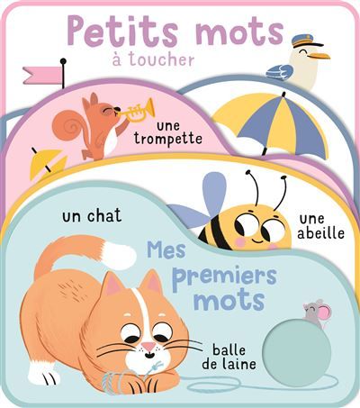 Mes premiers mots Livre à toucher
