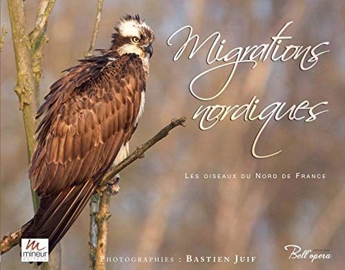 Migrations nordiques
