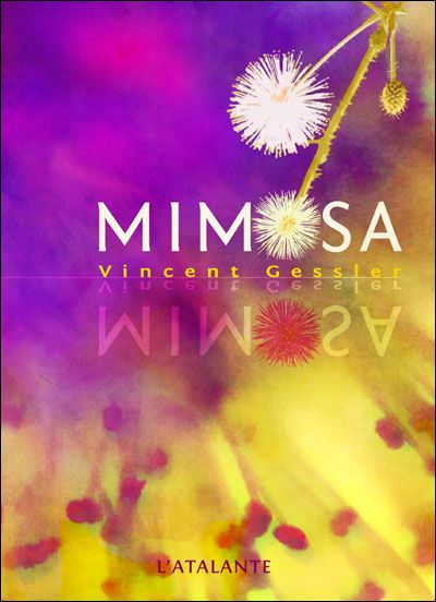 Mimosa