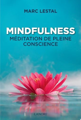MINDFULNESS MÉDITATION DE PLEINE CONSCIENCE