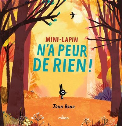Mini-Lapin n'a peur de rien (tout-carton)
