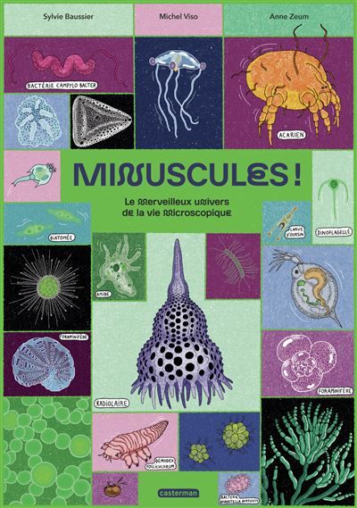 Minuscules ! Le merveilleux univers de la vie microscopique