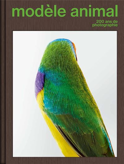 Modèle animal, 200 ans de photographie - Nathalie Herschdorfer