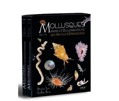 Mollusques marins et dulçaquicoles des Antilles françaises Coffret 2 volumes