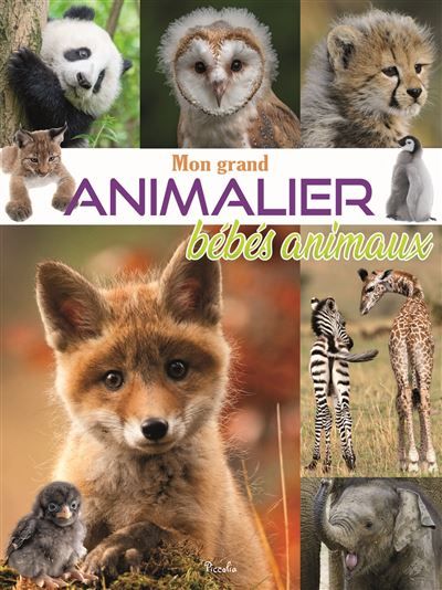 Mon grand animalier des bébés animaux