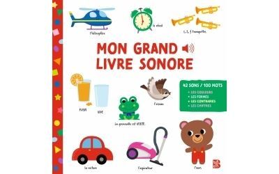 Mon grand livre sonore 42 sons - 100 mots