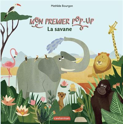 Mon premier pop-up - La savane